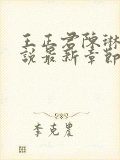 王正君陈琳洁小说最新章节更新时间