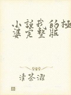 小说我的极品老婆完整版