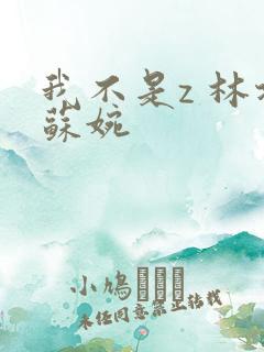 我不是z 林北苏婉
