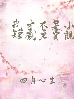 我才不是小可怜短剧免费观看全集