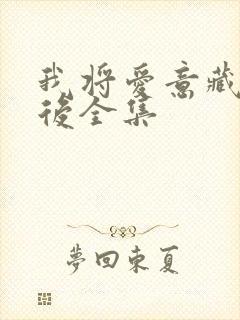 我将爱意藏在身后全集