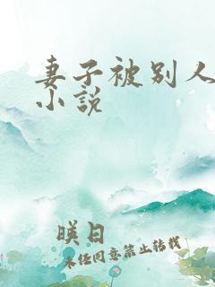 妻子被别人调教小说