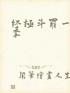 终极斗罗一共几季