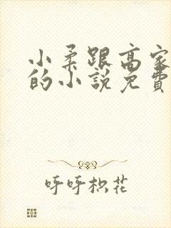 小柔跟高家父子的小说免费阅读全文