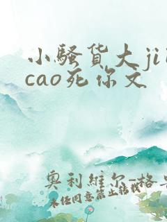 小骚货大ji巴cao死你文