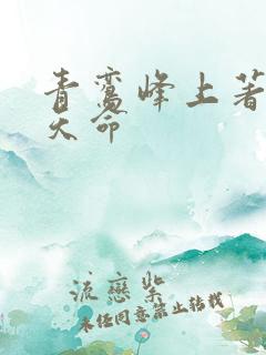 青鸾峰上著无敌天命