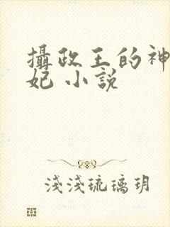 摄政王的神医毒妃 小说