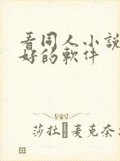 看同人小说比较好的软件