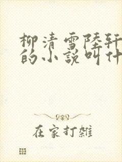 柳清雪陆轩傅深的小说叫什么?