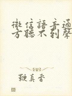 微信语音通话对方听不到声音