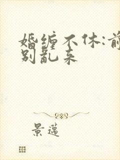 婚缠不休:前夫别乱来