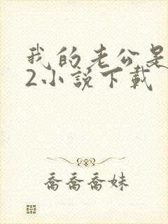 我的老公是冥王2小说下载