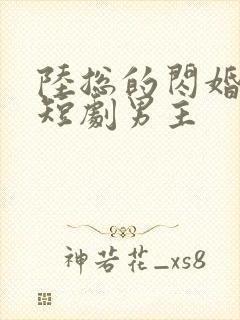 陆总的闪婚甜妻短剧男主