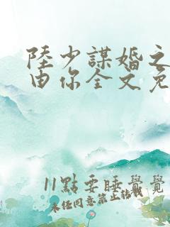 陆少谋婚之婚不由你全文免费阅读