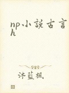 np小说古言高h