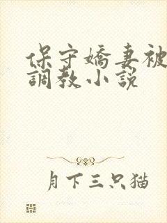 保守娇妻被开发调教小说