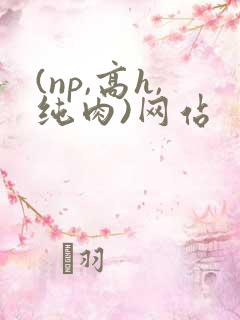 (np,高h,纯肉)网站