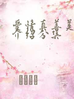 爱情真善美剧情介绍分集