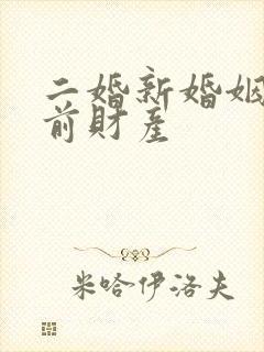 二婚新婚姻法婚前财产