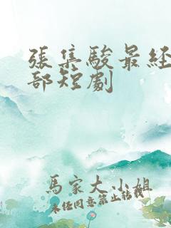 张集骏最经典十部短剧