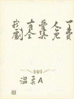 我有爱人了电视剧全集免费观看