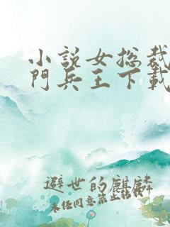 小说女总裁的上门兵王下载