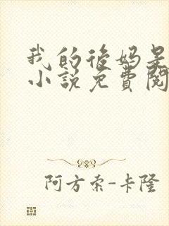 我的后妈是小姨小说免费阅读