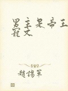 男主是帝王的甜宠文