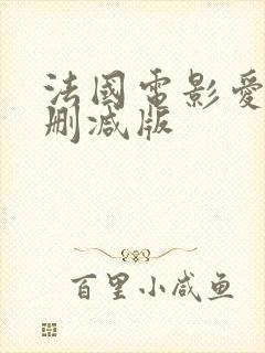 法国电影爱恋无删减版