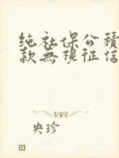 纯社保公积金贷款无视征信