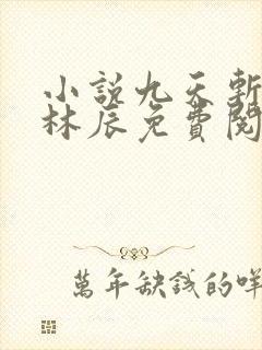 小说九天斩神诀林辰免费阅读