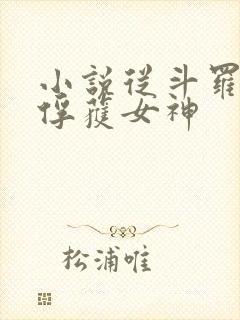 小说从斗罗开始俘获女神