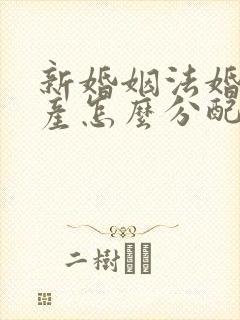 新婚姻法婚后财产怎么分配