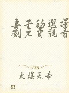 妻子的选择电视剧免费观看全集