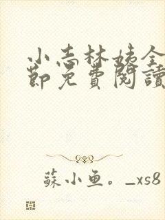 小志林姨全部章节免费阅读