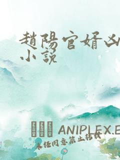 赵阳官婿凶猛的小说