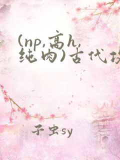(np,高h,纯肉)古代攻受