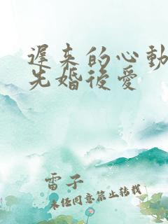 迟来的心动小说先婚后爱