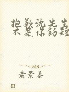 抱歉沈先生孩子不是你的短剧免费观看