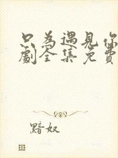 只为遇见你电视剧全集免费观看