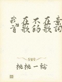 我在不在意是哪首歌的歌词