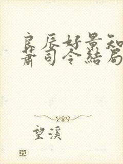 良辰好景知几何萧司令结局