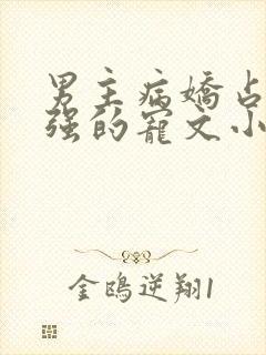 男主病娇占有欲强的宠文小说推荐