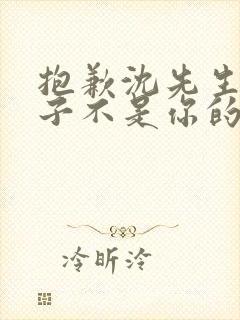 抱歉沈先生,孩子不是你的短剧免费播放