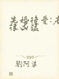 先婚后爱:老公很凶猛