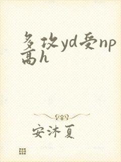 多攻yd受np高h