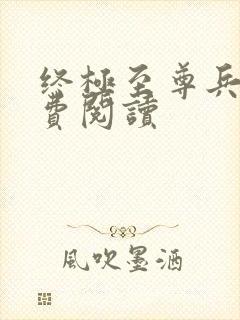 终极至尊兵王免费阅读