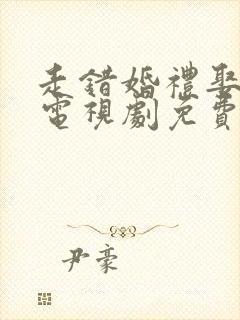 走错婚礼娶对妻电视剧免费观看