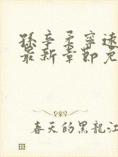 孙辛柔宁远小说最新章节免费阅读下