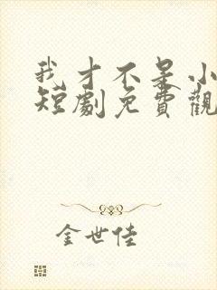 我才不是小可怜短剧免费观看全集